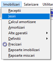 Iesiri Imobilizari
