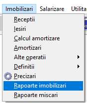 Rapoarte Imobilizari