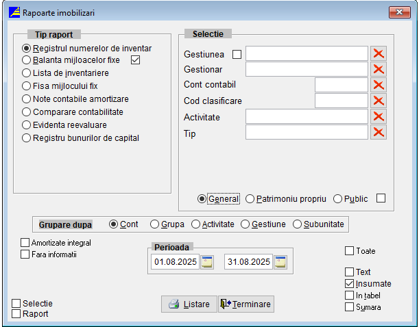 Filtrare Rapoarte Imobilizari